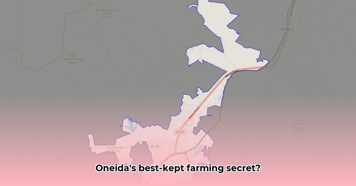 oneida-tn-tractor-supply